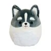 JAZWARES Squishmallow 5 Inch Paolo The Pomsky Plush Toy -Owl & Goose Gifts Store D4625DA1 1763 48AF 8E8F 1E5282436383