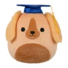 JAZWARES Squishmallow 8 Inch Finley The Irish Setter With Graduation Cap Plush Toy -Owl & Goose Gifts Store Screenshot2025 03 21095415